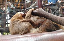 Coffee Tour with Poás Volcano and La Paz Waterfalls from San José