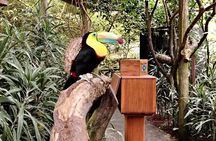 Coffee Tour with Poás Volcano and La Paz Waterfalls from San José