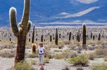 Tour to Cachi from Salta 