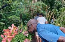 Exclusive Private Tour by a Singaporean Guide