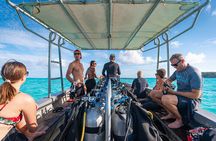 Baptism: introductory dive at Moorea Fun Dive
