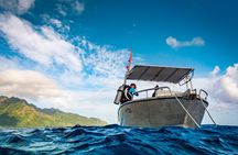 Baptism: introductory dive at Moorea Fun Dive