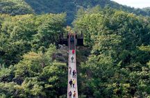 Best Korea DMZ Private Tour from Seoul (and Suspension Bridge) 