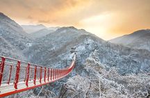 Best Korea DMZ Private Tour from Seoul (and Suspension Bridge) 