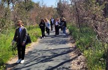 3 Hour Forest Bathing at Kings Park and Botanic Garden