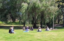 3 Hour Forest Bathing at Kings Park and Botanic Garden