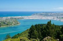天际线 Private Dunedin City &Peninsula Scenery Day Tour ( up to 4 )