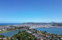 Skyline Dunedin City & Otago Peninsula Small Group Tour (Max 10)