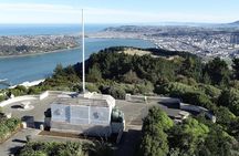 天际线 Private Dunedin City &Peninsula Scenery Day Tour ( up to 4 )