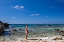 Roatan Monkeys and Sloths, Chocolate Rum Tasting and Beach Time