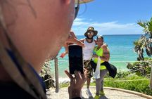 Tulum Ruins and Cenote Swim: History and Nature Combo Tour