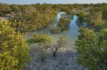 North Qatar Guided Expedition to Nature Charms