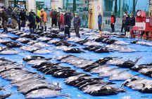 Tuna Auction Market Guided Private Tour in Nachi-Katsuura