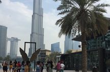 Private Guided Tour in English or Spanish in Dubai