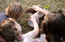 Morning Farm Experience in Queensland