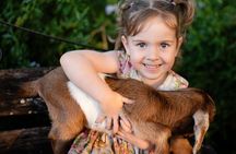 Morning Farm Experience in Queensland