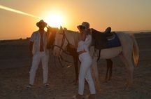 Horse Ride 3Hour, Desert, Swimming & Transfers in Hurghada