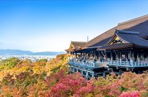KIYOTO's Private Wander: Highlights & Hidden Gems