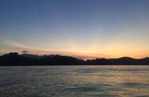 Glow-in-the-Dark Mangrove Adventure – Night Safari Plus Dinner