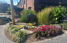 The Bourbon tours: Buffalo Trace , Whiskey Thief & Jeptha Creed