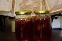 Half Day Private Jungle All Inclusive Tour in Cozumel