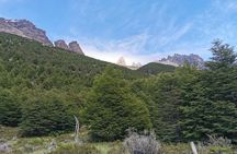 Torres del Paine Base Full Day Trekking Tour 