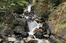 Torres del Paine Base Full Day Trekking Tour 