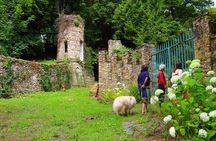 Day Trip from Paris - French Food Experience in a Country House