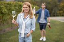 Private Bodega Gamboa Wine Tasting Tour With Lunch