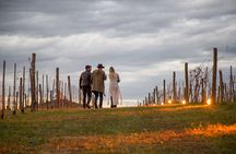 Private Bodega Gamboa Wine Tasting Tour With Lunch