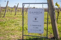 Private Bodega Gamboa Wine Tasting Tour With Lunch
