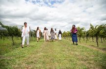 Private Bodega Gamboa Wine Tasting Tour With Lunch