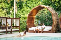 Full-Day Luxurious Catamaran Adventure - Cancún to Isla Mujeres 