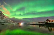 From Tromsø: OFFICIAL Northern Lights Safari