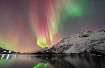From Tromsø: OFFICIAL Northern Lights Safari