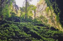 Yogyakarta Jomblang Cave and Pindul Cave Tour 