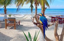 Clear Boat and Island Tour by Buggy with Mayan Experience