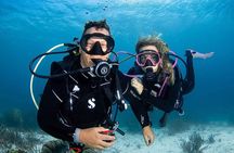 guided Shore Diving in Bonaire Marine Park with 2 Dives