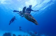 guided Shore Diving in Bonaire Marine Park with 2 Dives