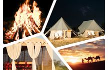Overnight Desert Safari Adventure:BBQ Dinner & Breakfast Included