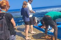 3 Nights Stay in Tanna including Accommodation, meals & transfers