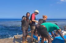 3 Nights Stay in Tanna including Accommodation, meals & transfers