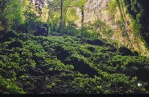 Yogyakarta Jomblang Cave and Pindul Cave Tour 