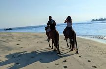Gili Air 1 Hour Horseback Beach Adventure