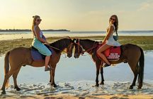 Gili Air 1 Hour Horseback Beach Adventure