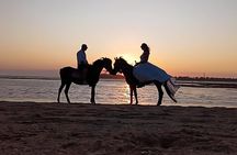 Gili Meno Horse Riding Adventure on the Beach for 1 Hour