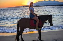 Gili Air 1 Hour Horseback Beach Adventure
