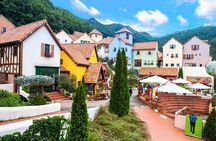 Nami Island and Petite France & Italian Village Day Trip from Seoul