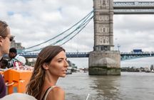 Explore Tower Bridge & Westminster Walking Tour 