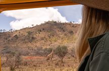 2 Day Tanzania Safari in Tarangire and Ngorongoro Crater 